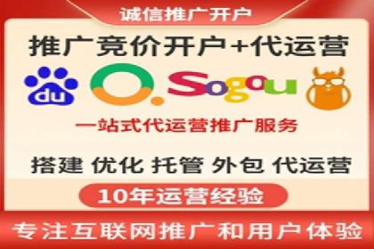 网络推广与竞价广告：双管齐下的策略案例